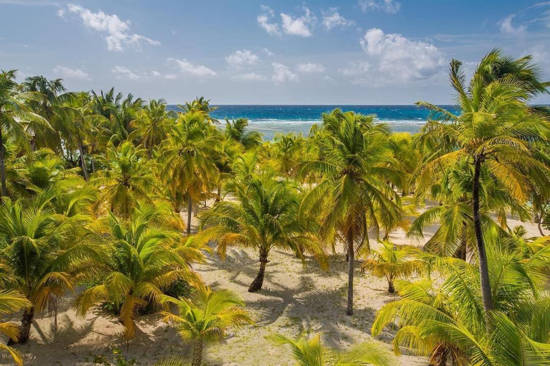 Pelican Beach Resort South Water Caye ダンリガ エクステリア 写真