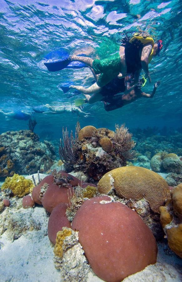 Pelican Beach Resort South Water Caye ダンリガ エクステリア 写真